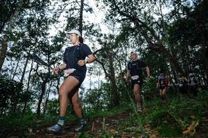 BIB: 6013
                            <button type="button" onclick="openModal(22570007)" class="btn btn-primary btn-sm float-right btn-popup" data-toggle="modal" data-target=".modal-high-quality">
                        <i class="fas fa-shopping-cart"></i> Add to Cart
                    </button>
                                            <button type="button" onclick="isThisMe(22570007, true)" class="btn btn-success btn-sm float-right btn-popup btn-isme hidden" data-toggle="tooltip" data-placement="bottom" title="นี่คือรูปของคุณใช่ไหม คลิกที่นี่เพื่อเอาเข้าอัลบั้ม">
                        <i class="fas fa-plus"></i> Add to album
                    </button>
                    <button type="button" onclick="isThisMe(22570007, false)" class="btn btn-warning btn-sm float-right btn-popup btn-isnotme hidden">
                        <i class="fas fa-ban"></i> Remove from album
                    </button>